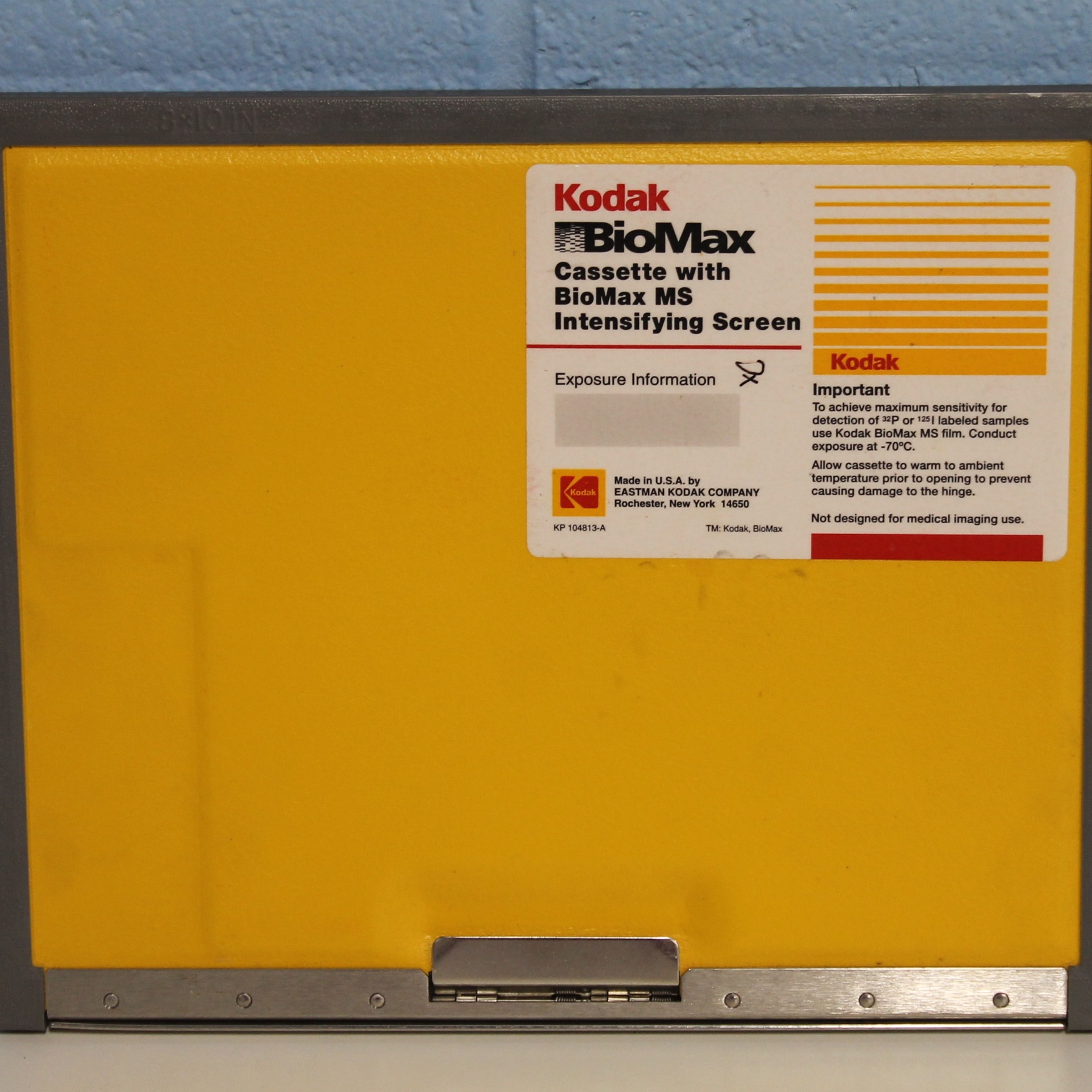 Kodak BioMax MS Intensifying Screen