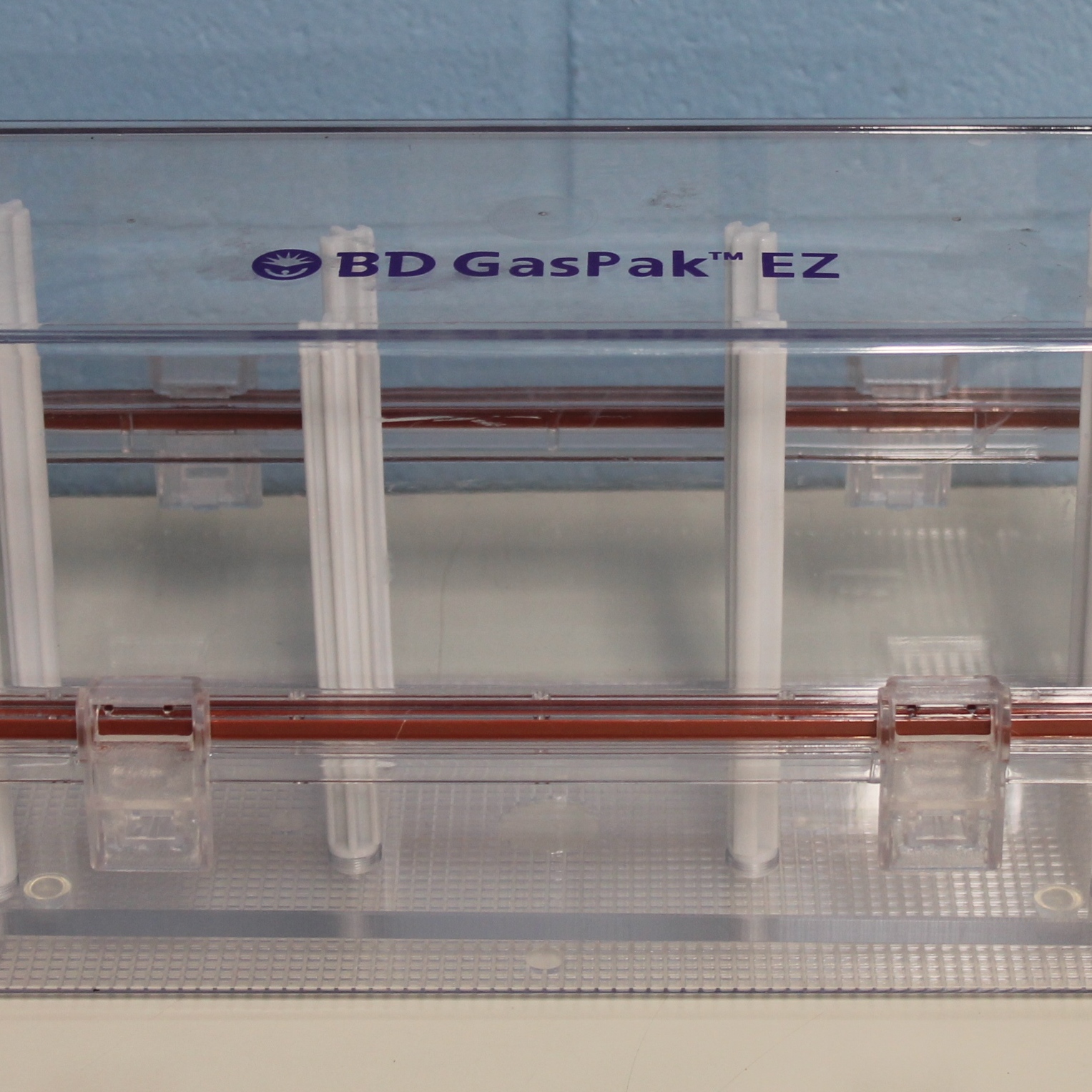 Gaspak System Microbiology