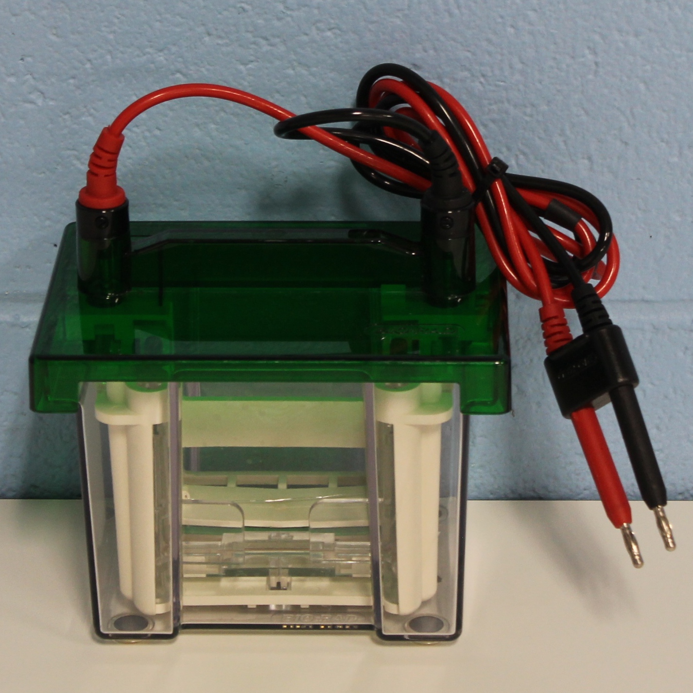 Bio Rad Mini Protean System : Bio-RAD Mini Protean 3 III / Mini Trans ...